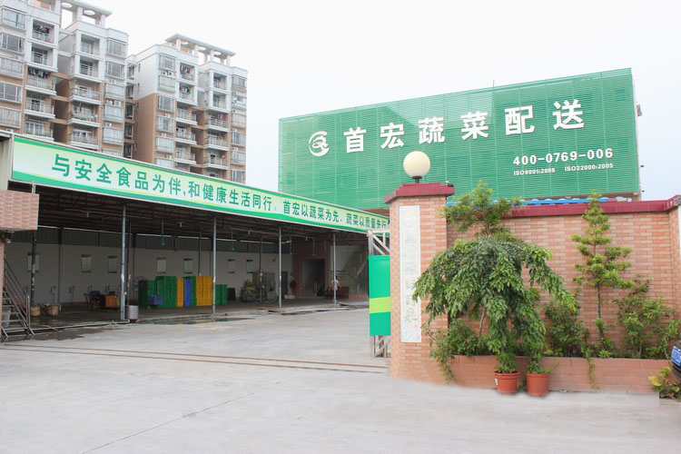 汕头蔬菜配送